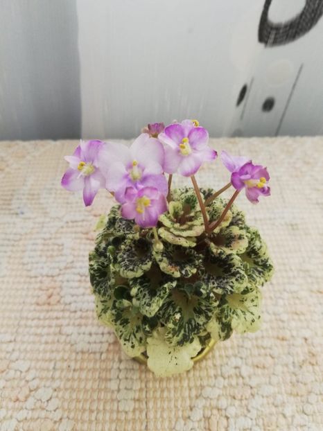 30 mai - Heavenly Girl