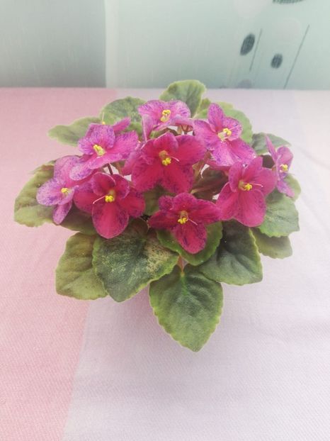 19 apr - LE Yagodniy Kokteyl