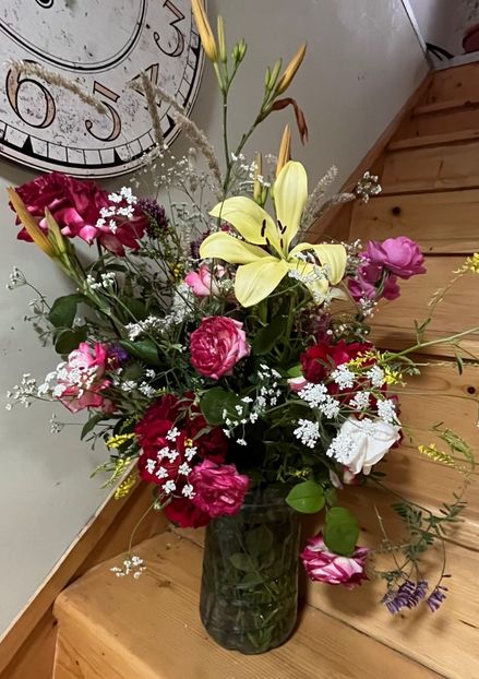 ED48CD32-F039-4190-86C6-1AB865B69813 - Trandafiri 2023 3 2024