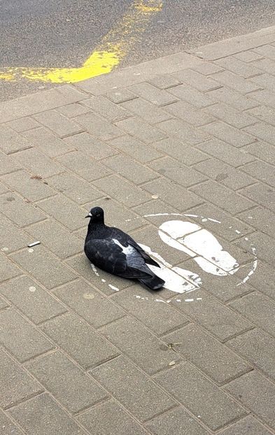 Când vine autobuzul? - z Prin oras si prin imprejurimi