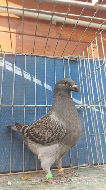 M 2023 - Tineret 2023