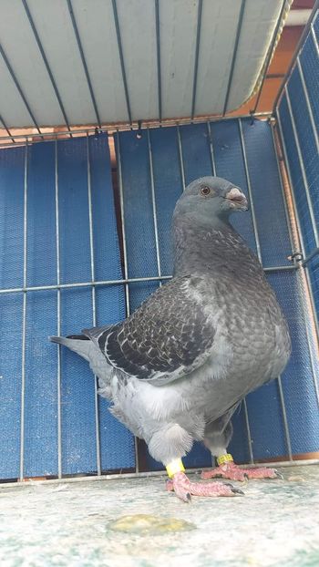 M 2023 - Tineret 2023