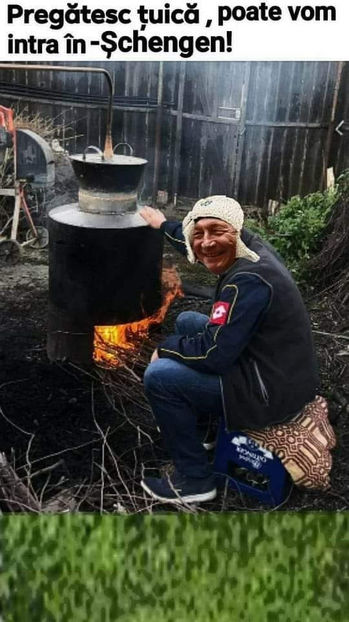  - Poze haioase pamflet