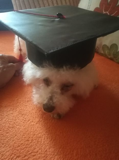  - 2023 06 iunie absolvire cl a 8-a