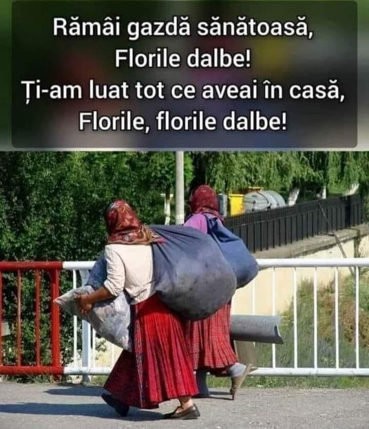  - Poze haioase pamflet