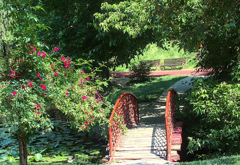 w-Park in the early summer-7687 - PEISAJE-PARCURI-PARKS-LANDSCAPES