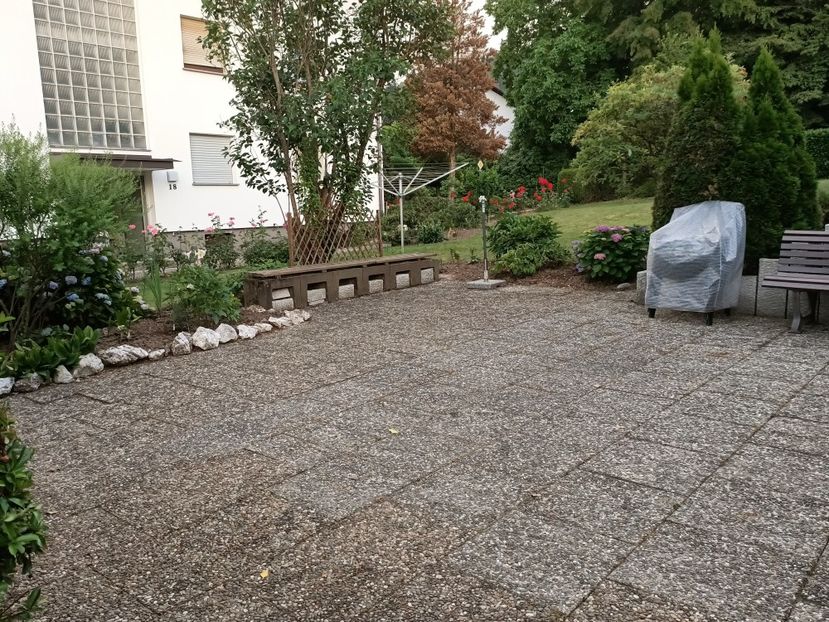 Img.2023.06.21 - Grădina mea