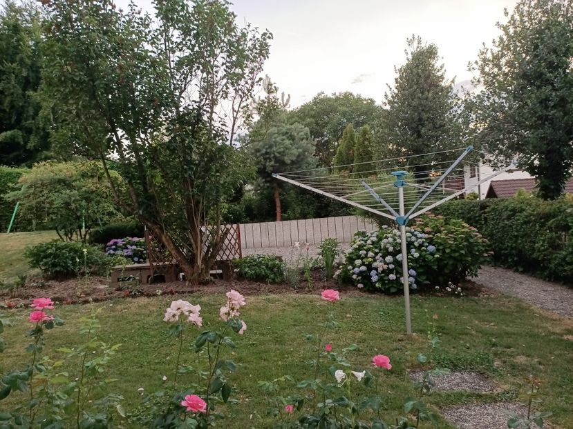 Img.2023.06.21 - Grădina mea