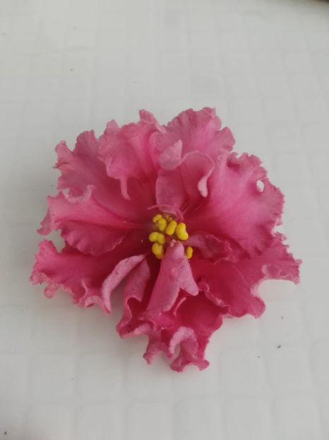 6 feb - SM Shikarnyy Mak