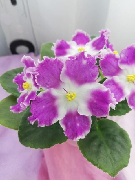 28 mar - LE Rain Melody