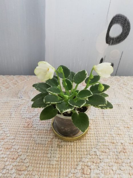 30 mai - LE Gratsiya