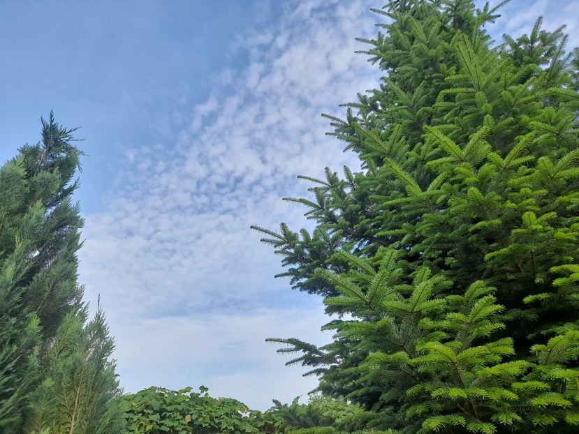  - 1 Bucurii nemuritoare 2023