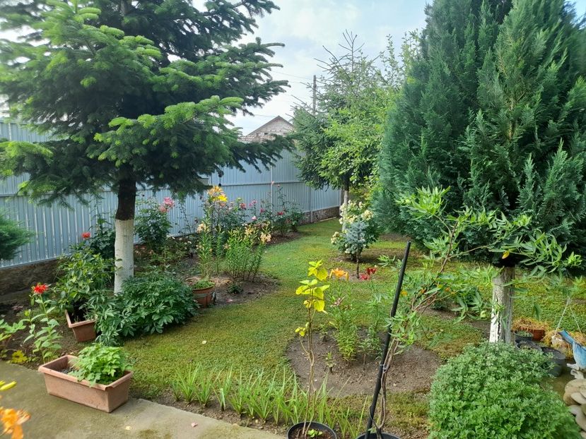  - 1 Bucurii nemuritoare 2023