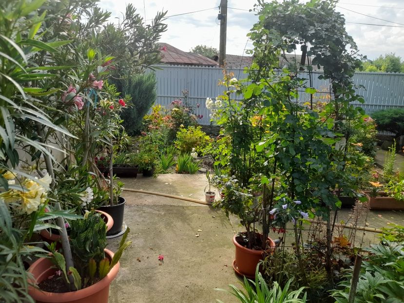  - 1 Bucurii nemuritoare 2023