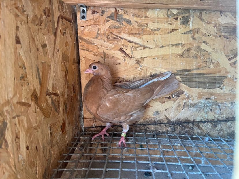 3005/23 - 6-lot zbor 2023