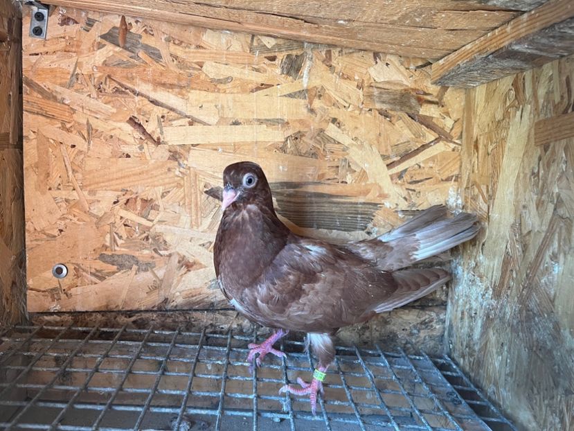 3008/23 - 6-lot zbor 2023