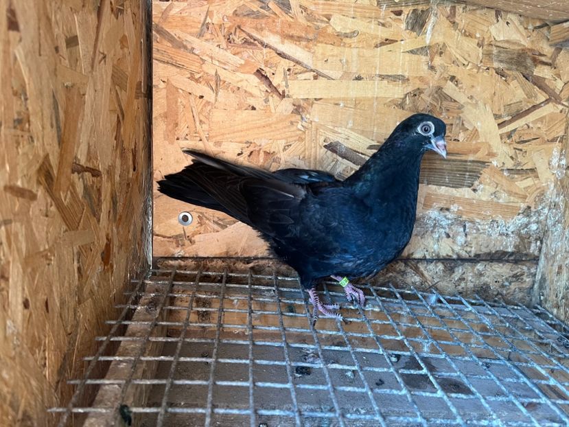 3010/23 - 6-lot zbor 2023