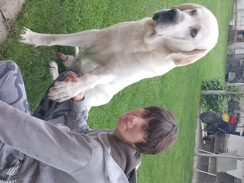  - 1 bob prietenul meu