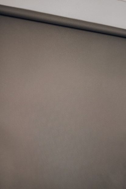  - 00 background