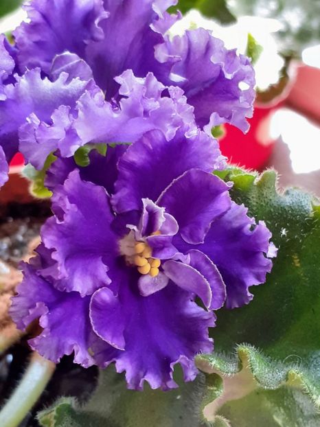 20230625_104702~2 - No name