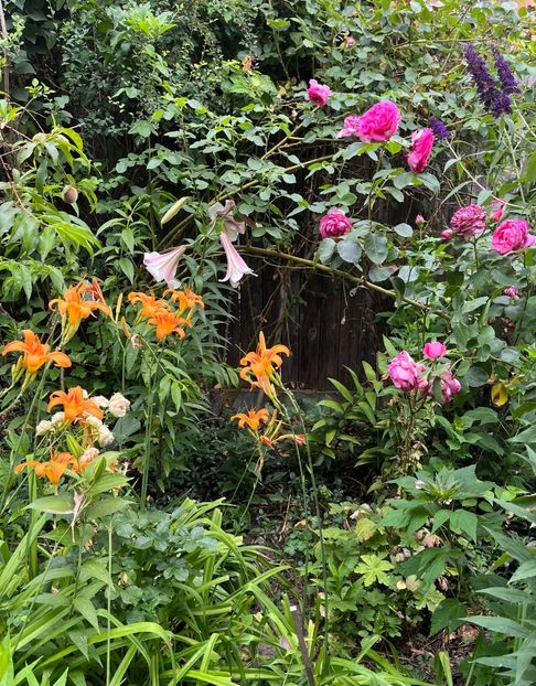 23A84154-2C8D-404C-9AA0-D620B812BEFC - Crini 2016 2023