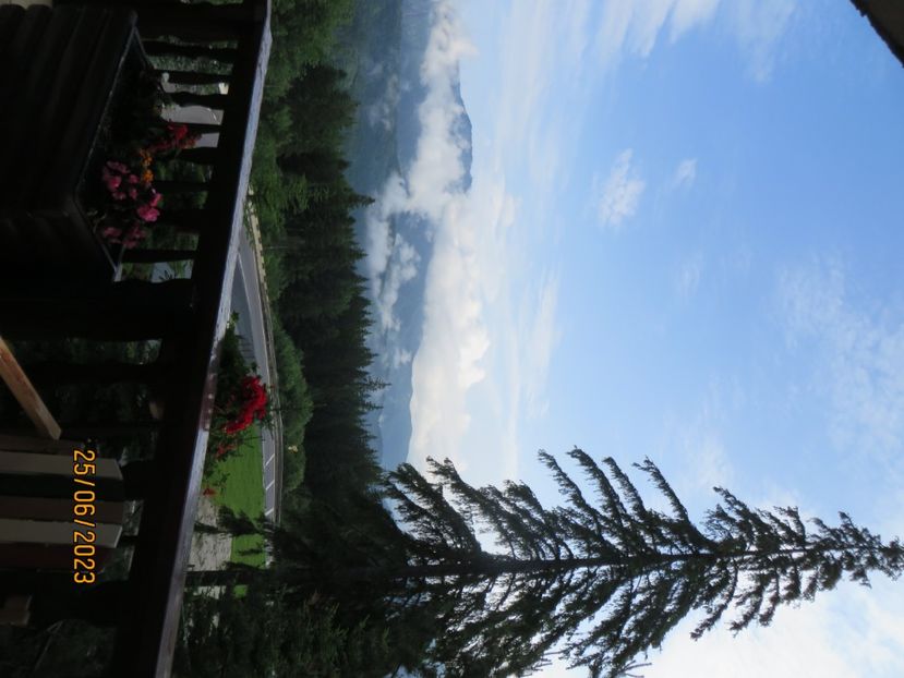  - 3 Brasov - Castelul Bran - Cetatea Rasnov