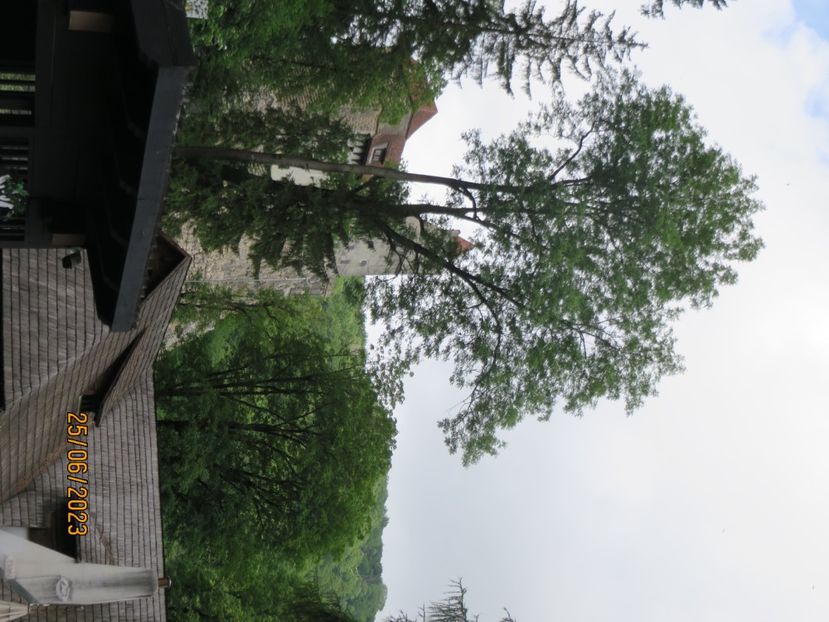  - 3 Brasov - Castelul Bran - Cetatea Rasnov