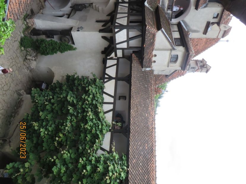  - 3 Brasov - Castelul Bran - Cetatea Rasnov