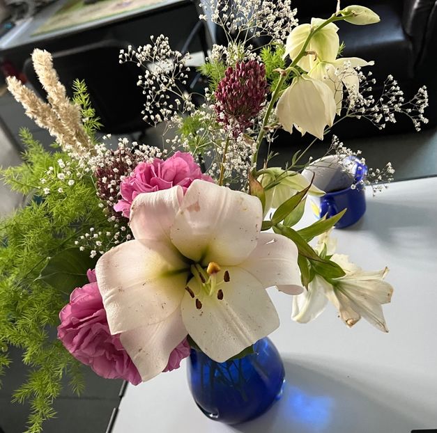 6F8E9CB6-BC39-4A06-8399-DE1920BB18DF - Crini 2016 2023