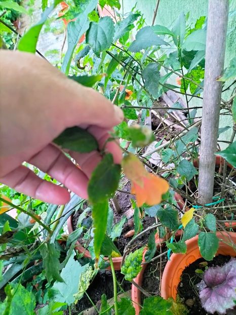 IMG20230628120454 - Iunie 2023 vol 2