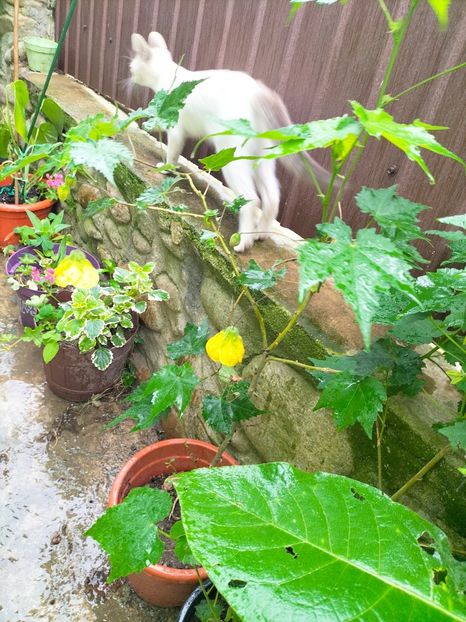 IMG20230628120350 - Iunie 2023 vol 2