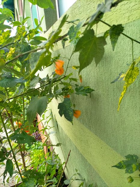 IMG20230628120444 - Iunie 2023 vol 2