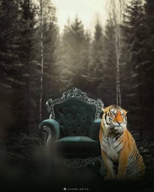 399EA25D-B98E-4A17-925D-68CCF23A5A1E - 00 background