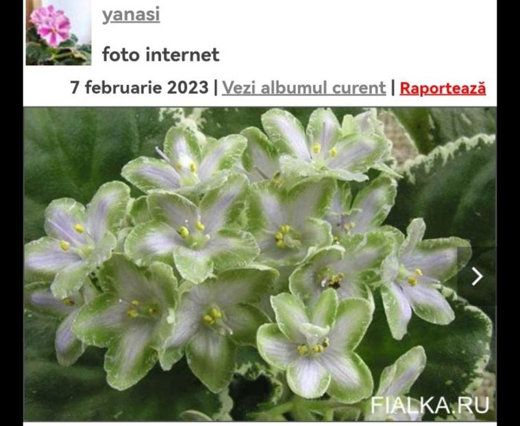 Screenshot_20230629_095929 - Frozan in Time