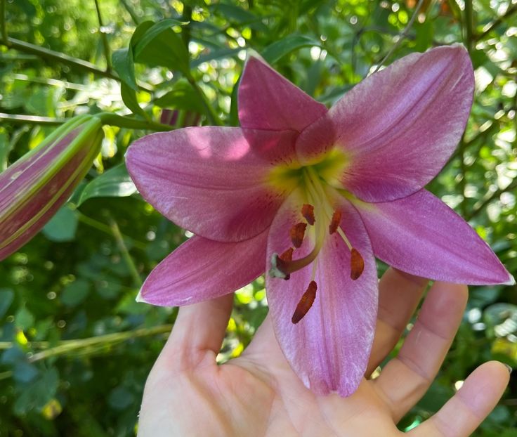 45BC8188-747F-4C44-8EA5-AD521C2AF1FA - Crini 2016 2023