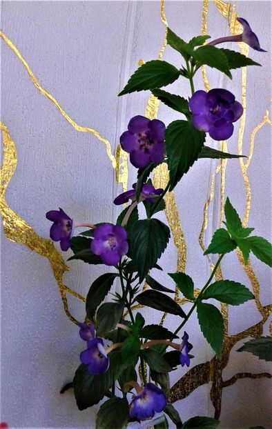  - 000014 ACHIMENES