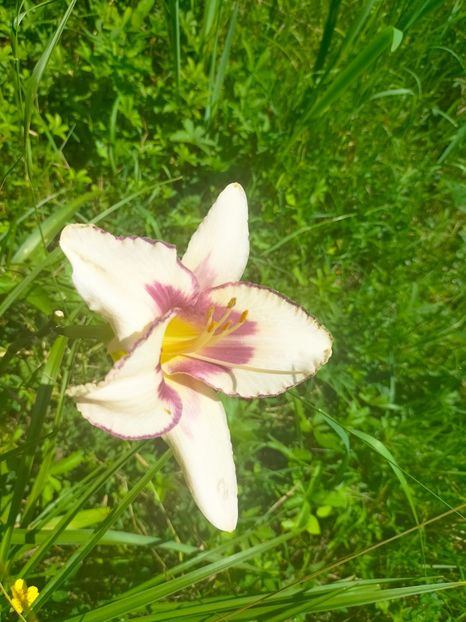 IMG20230629112605 - Iulie 2023