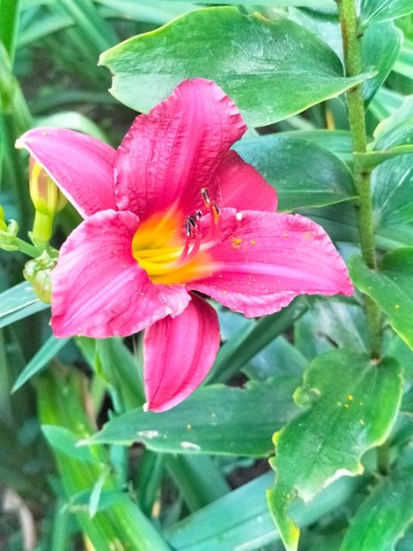 IMG20230630205446 - Iulie 2023