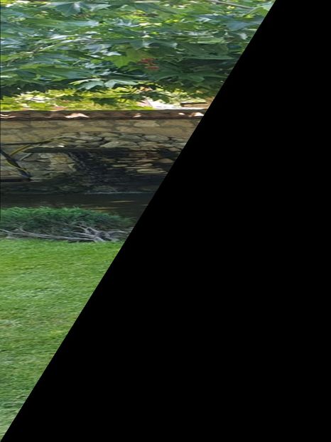 IMG-20230627-WA0084 - Bulgaria