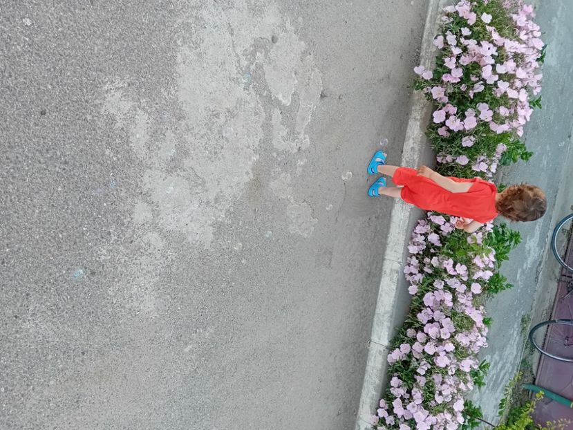  - Poze maria bebe mic