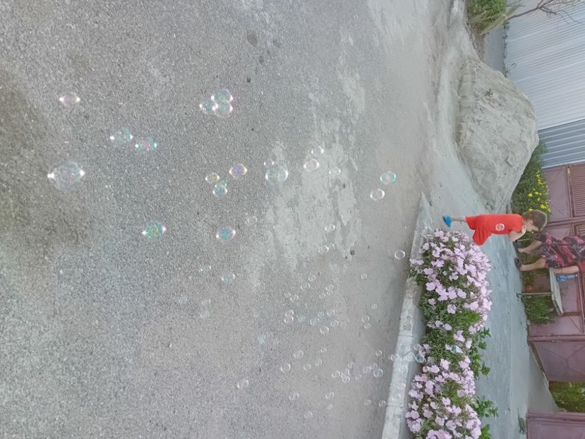  - Poze maria bebe mic