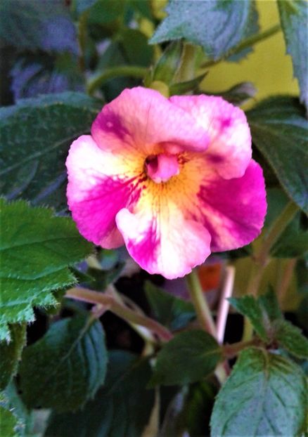 20230702_094959-1 - 000016