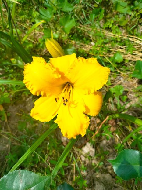 IMG20230702101823 - Iulie 2023