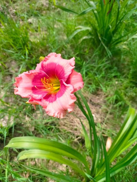 IMG20230702102112 - Iulie 2023