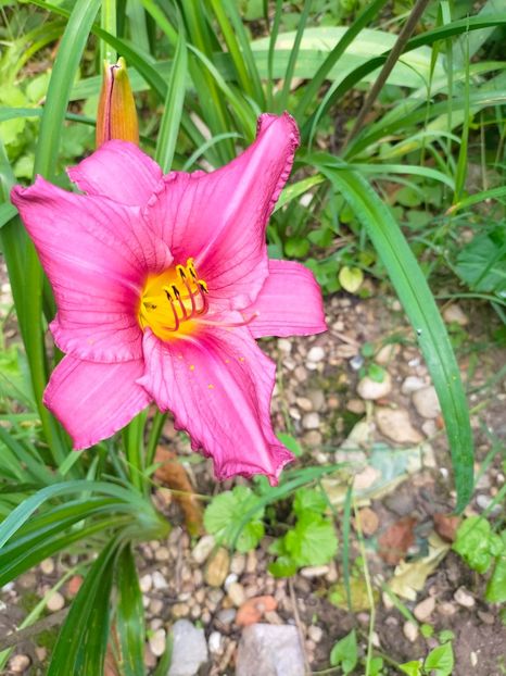 IMG20230702103710 - Iulie 2023