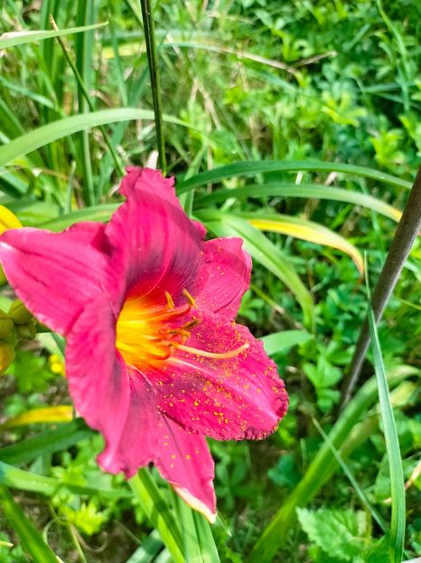 IMG20230702102413 - Iulie 2023