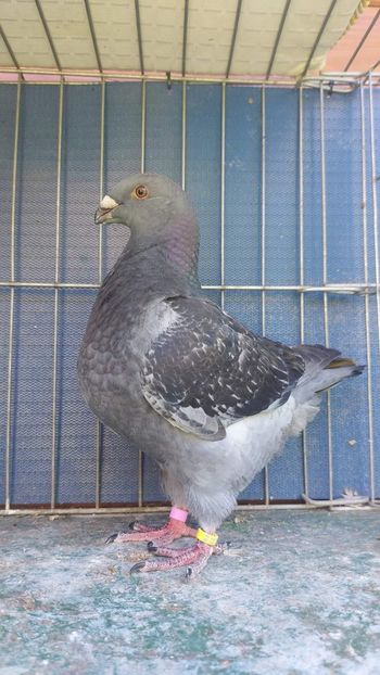 M 2023 - Tineret 2023