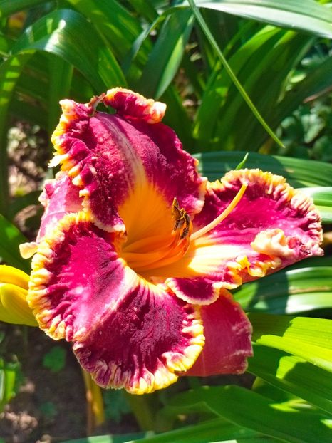 IMG20230703095838 - Iulie 2023