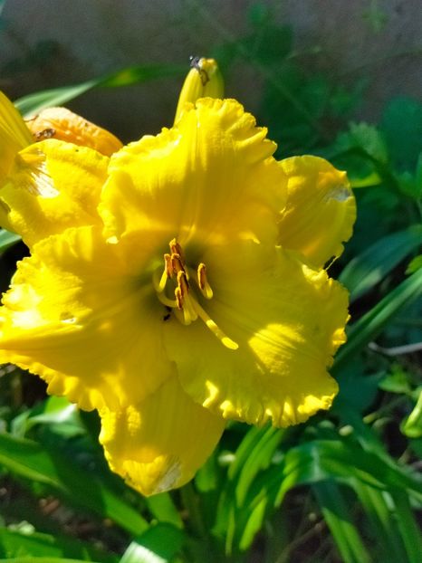 IMG20230703095830 - Iulie 2023