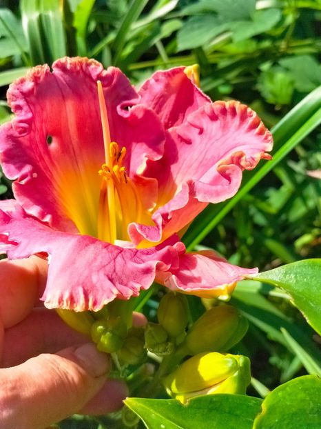 IMG20230703095800 - Iulie 2023